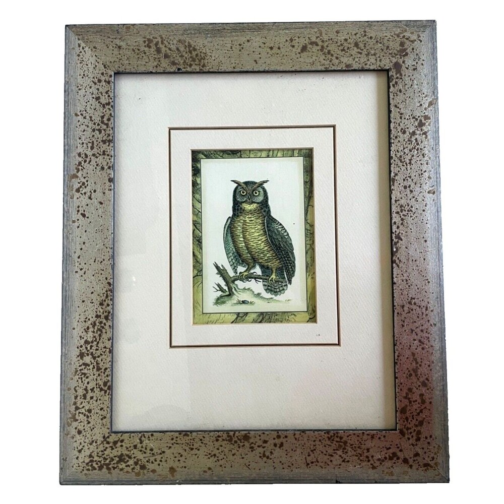 Vintage "Majestic Perch" Owl Art Print Custom Mottled Gilded Frame 14" x 17"